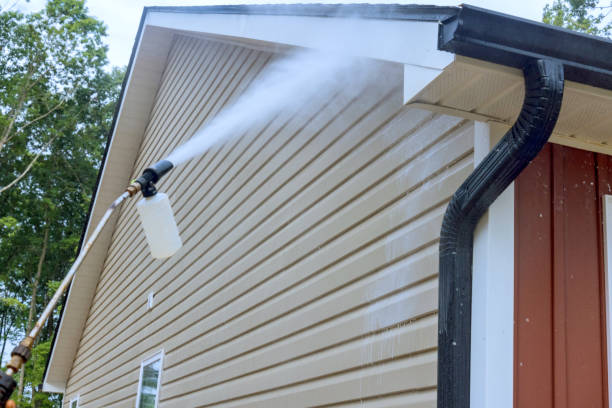 Professional pressure washing of exterior vinyl siding before painting by an exterior painter in Frederick, MD